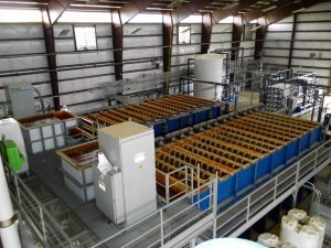 WTP manufaacturers in pune